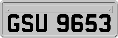 GSU9653