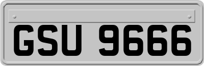 GSU9666