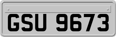 GSU9673
