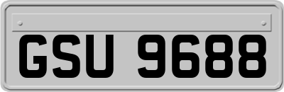 GSU9688