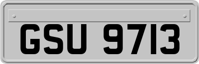GSU9713