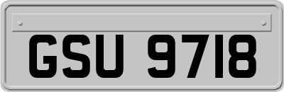 GSU9718