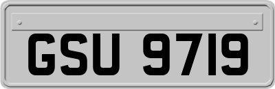 GSU9719