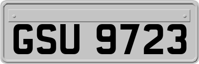 GSU9723