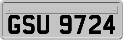GSU9724
