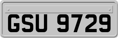 GSU9729