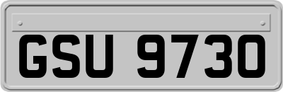 GSU9730