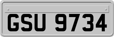 GSU9734