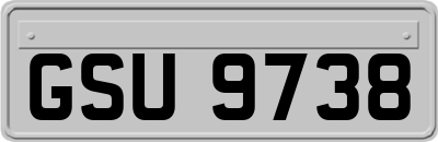 GSU9738