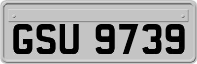 GSU9739