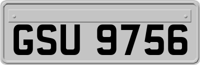 GSU9756