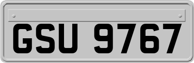GSU9767
