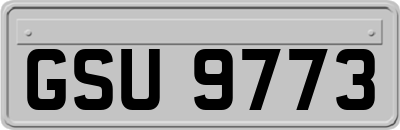 GSU9773