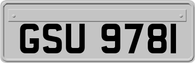 GSU9781