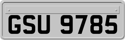 GSU9785