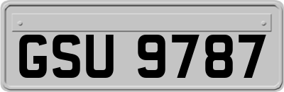 GSU9787