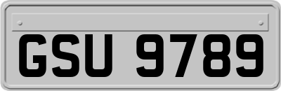 GSU9789