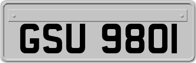 GSU9801
