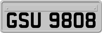GSU9808