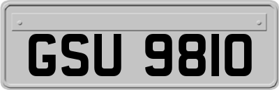 GSU9810