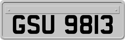 GSU9813
