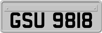 GSU9818