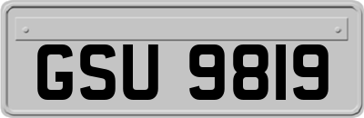 GSU9819