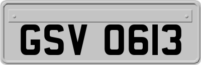 GSV0613