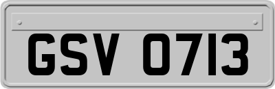 GSV0713