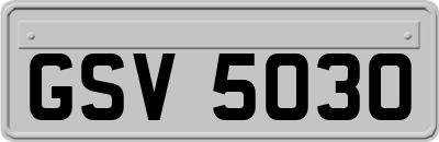 GSV5030