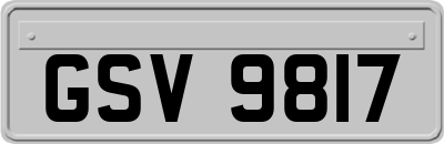 GSV9817