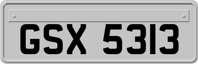 GSX5313