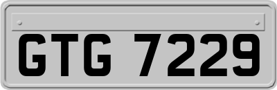 GTG7229