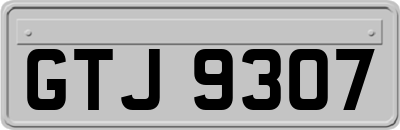 GTJ9307