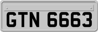 GTN6663