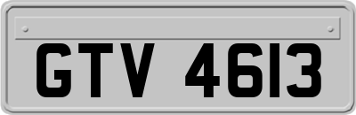 GTV4613