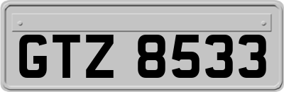 GTZ8533