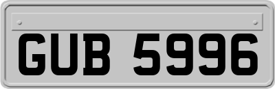 GUB5996