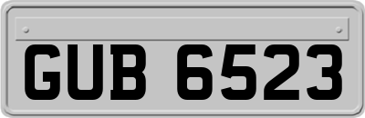 GUB6523