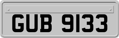 GUB9133