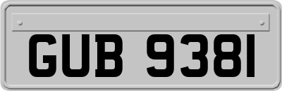 GUB9381