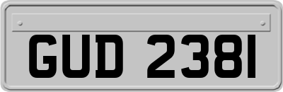 GUD2381