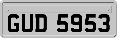 GUD5953