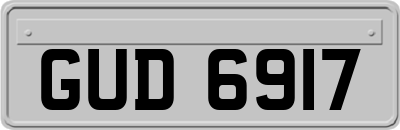 GUD6917