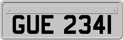 GUE2341
