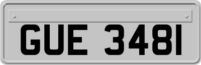 GUE3481