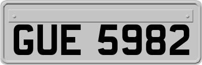 GUE5982