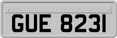 GUE8231