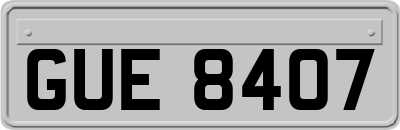 GUE8407