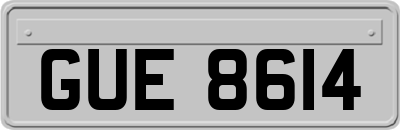 GUE8614